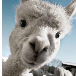 jewelskelly41's profile picture. 