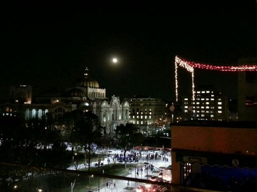 ultimopisoterra's profile picture. film/film/film/it/it/it