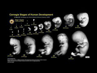 AnnaDambrosio86's profile picture. 