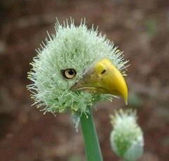 ﾋﾟｰﾋｮﾛΣ^)／♪岡山県の片田舎の野鳥です。
基本ポスト上でのやり取りしかしていませんので、エロや出会いやバイトなどのアカや、フォロバ後
にメッセージのやり取りを繰り返す方は、嫌がらせと見なして問答無用で通報やブロックをする事が有ります。近頃は酷過ぎるので、こういうアカのいいね！に関しても同じ対応をさせて頂きます。