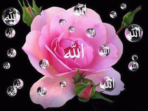 ‏‏‏ربي  أغفر لي ولوالدي وذريتي ومن احببناه وأحبنا في الله وللمسلمين والمسلمات اﻻحياء منهم واﻻموات