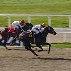 silbarros2's profile picture. Centro Comercial de Coche, Caracas
Telefonos: 02126814687