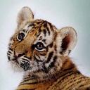 Gemma Hill - @GemmaHill19 - Twitter