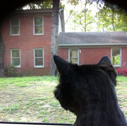 CaviarTart's profile picture. Three things I shall never attain: envy, content, & sufficient champagne. -Dorothy Parker