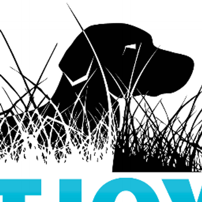 Petjoy service top dog vests