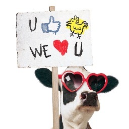 We are a Chick-fil-A restaurant in the heart of beautiful Rowlett, Texas.