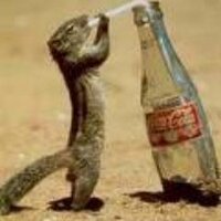 ebru (@92_albatros) Twitter profile photo