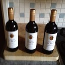 Matthew Cane - @CaneMatthew - Twitter