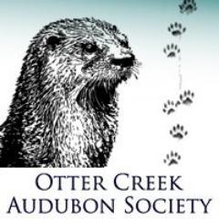 The Addison County, Vermont chapter of the National Audubon Society. Our mission is to protect birds, other wildlife and their habitats.