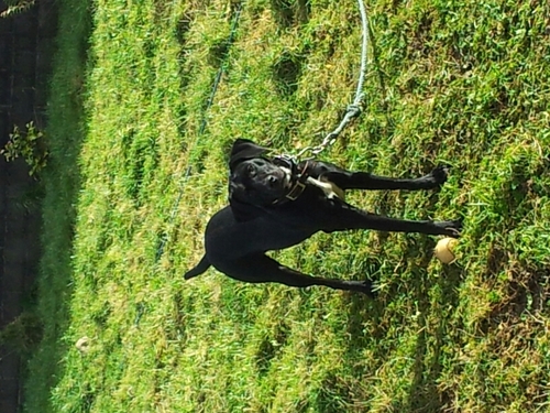 forgetit50's profile picture. 