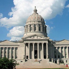 Reporter of health care issues and the Affordable Care Act for St. Louis Post-Dispatch