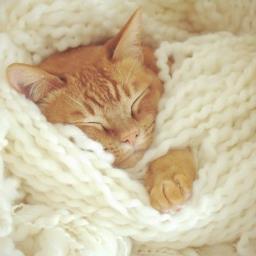 Pupidoncheg's profile picture. not giving a fuck xD