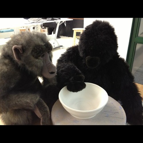 ArtsyApes's profile picture. In Sepetember 2012, two monkeys appeared at the Art School of Ptbo & started to explore the world of arts.
Follow them on their daily adventures!