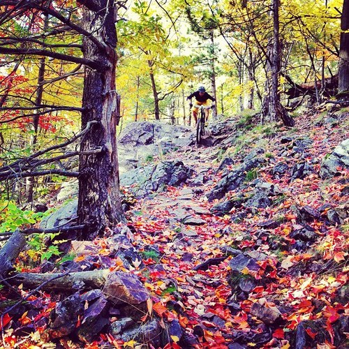 U.P. Mountain Biking