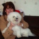 Sharon mayes - @sharonmayes70 - Twitter