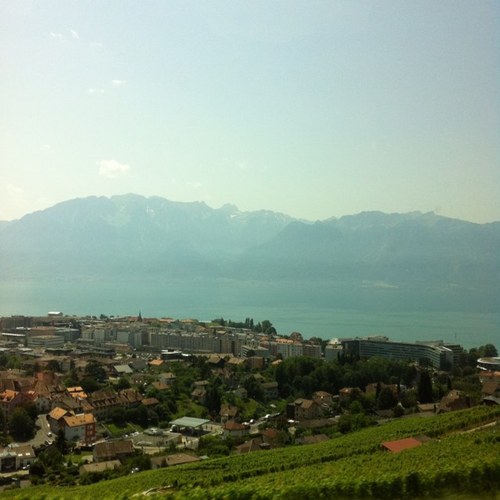 malatani's profile picture. 