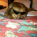 Bryn Cook - @BrynCook2 - Twitter