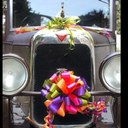 Alison Bacon-Snow - @AliBacon_Snow - Twitter