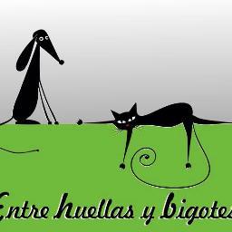 huellasybigotes's profile picture. Adopciones responsables, dueños felices. info@entrehuellasybigotes.com /  http://t.co/qCPVuNSNPo