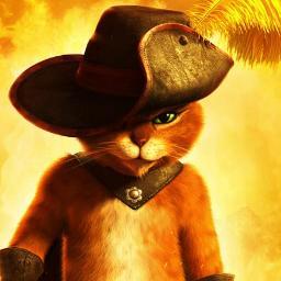 Don't make the cat angry