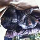 helio lopez fernande - @joseheliodoro59 - Twitter