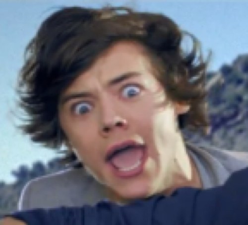 I have 5 cats called Nialler, Liam, Lou, Hazza and Zayn. Problem? Idek I just wanna be Jade's biscuit. @LittleMixOffic follow, so you should follow too.