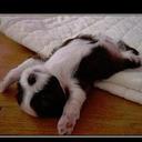 Carrie Hurd - @CarrieHurd - Twitter