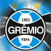 Célio (@celinhogremista) Twitter profile photo
