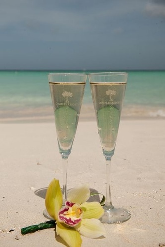 Theresa13367555's profile picture. 