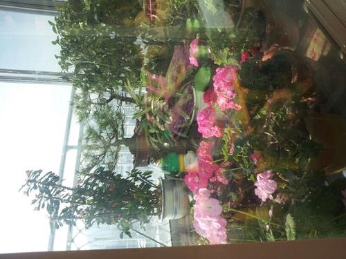 seock7070's profile picture. 꿈너머 꿈을향해  강천에서  열심이 살려고 노력하고 있습니다