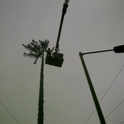 Profile Picture of Mark Jackman (@decadentfridays) on Twitter
