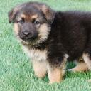 rita eldridge - @ritaeld76 - Twitter