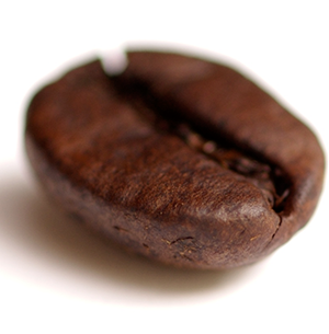 javalinkedin's profile picture. 