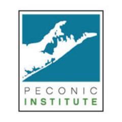 Peconic Institute is committed to promoting a sustainable and resilient future.