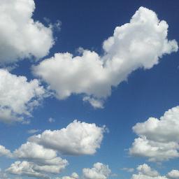 Jordan1perry's profile picture. 