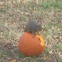 gary halverson - @garyhalverson2 - Twitter