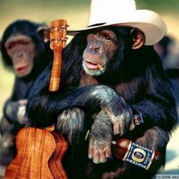 Músico, compositor y amante de la cultura, los viajes y los idiomas.