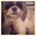 Jana Ellis - @Jflowersk - Twitter