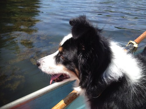 Raton1951's profile picture. 