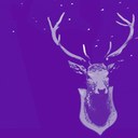 Helen Gamble - @helenegamble - Twitter