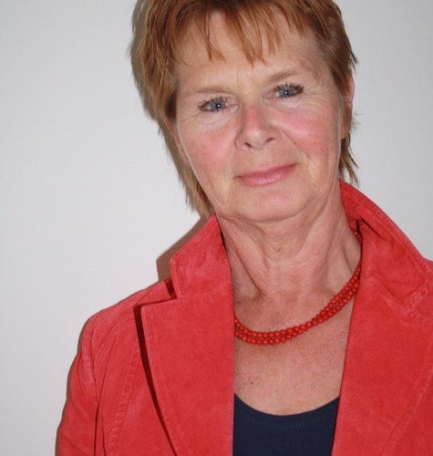 Coördinator Traumaopvang , vice voorzitter OR, Mediator, Trainer
