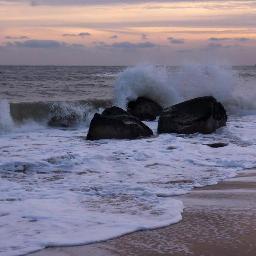 SusanWeingarten's profile picture. 