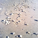 Sam Friend - @SammyF_official - Twitter