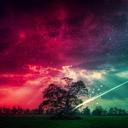 Max Nixon - @Makeityoung - Twitter