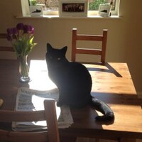 Martin Salloway (@martinsalloway1) 's Twitter Profile