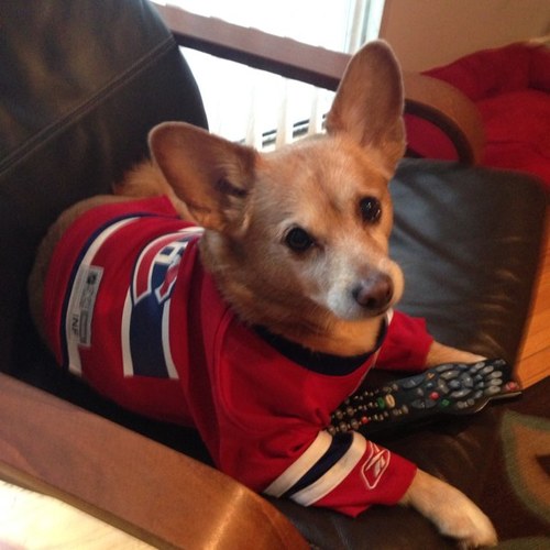 Shopper, Talker, Sports Watcher, Slightly dog-obsessed baker (no I don't bake the dogs), Music Lover, Reality TV authority, blogger, mildly apologetic Canadian.