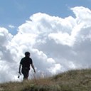 Mark Toner - @edwrites2013 - Twitter