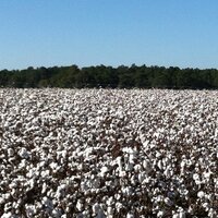 Christian Dameron (@cdameron2) 's Twitter Profile