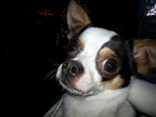 diane41_23's profile picture. 