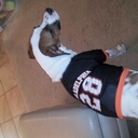 Eric Laster - @elast_hates_u - Twitter